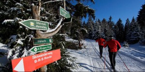 ahorn-berghotel-friedrichroda-langlauf_thueringer-wald_7212_630_315_crop